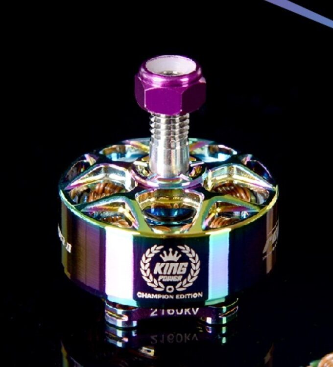 Rcinpower Wasp Major V2 22.6.6 Champion Edition Motor