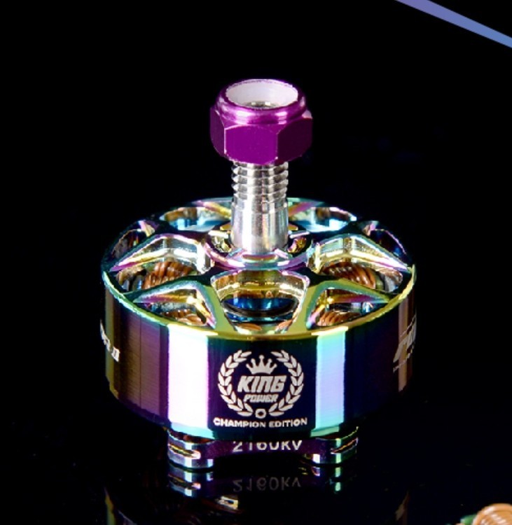 Rcinpower Wasp Major V2 22.6.6 Champion Edition Motor
