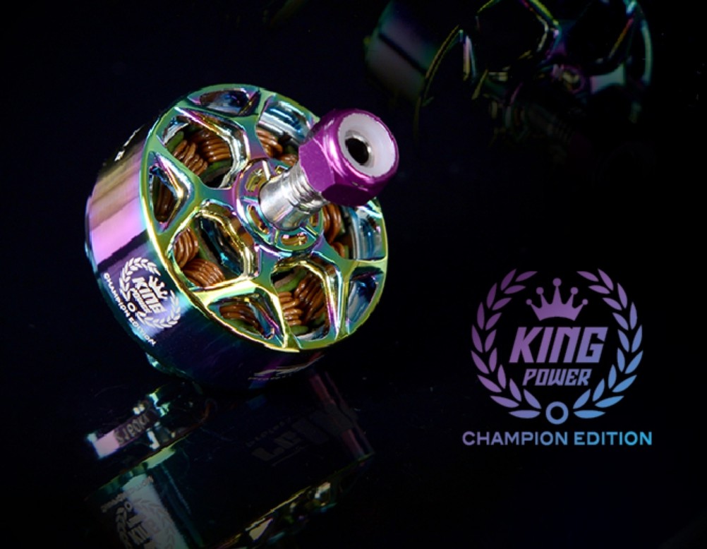 Rcinpower Wasp Major V2 22.6.6 Champion Edition Motor — изображение 3