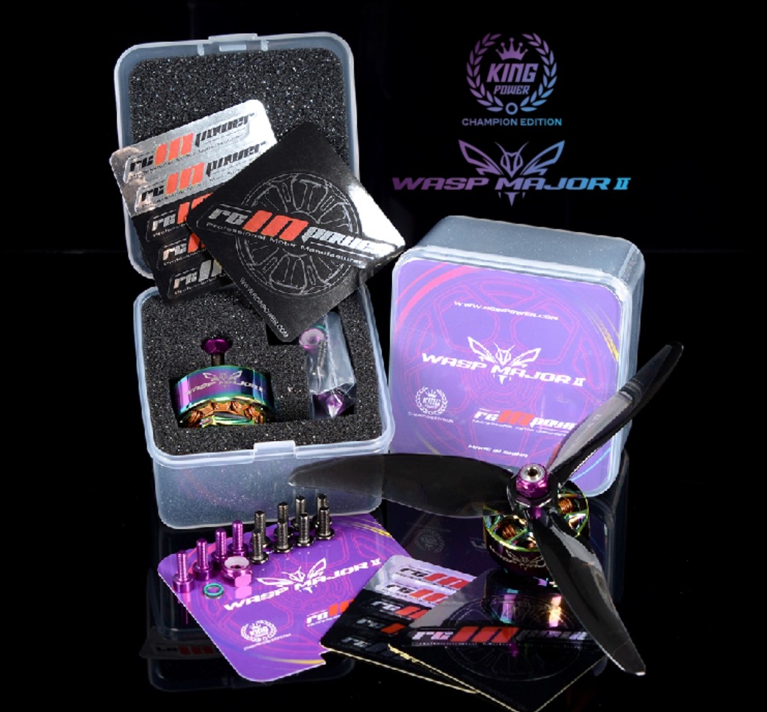 Rcinpower Wasp Major V2 22.6.6 Champion Edition Motor — изображение 7